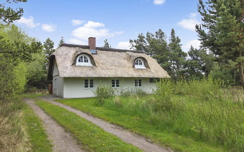 Volmar - 3.5Km from the Sea: Thatching, Cottage, House, Roof, Home, Farmhouse, Hut, Estate, Village