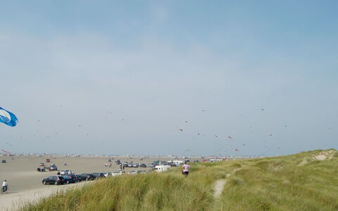 Fiona - 800M from the Sea: Cottage, Shed, Hut, Farmhouse, Prairie, Shack, Barn, Log Cabin, Garden Buildings