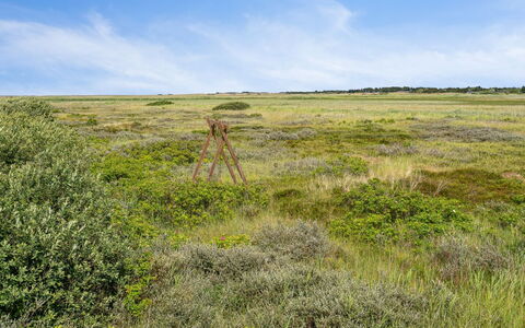 Fiona - 800M from the Sea: Cottage, Shed, Hut, Farmhouse, Prairie, Shack, Barn, Log Cabin, Garden Buildings