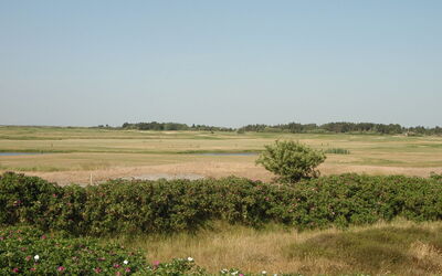 Ennike - 2.3Km from the Sea