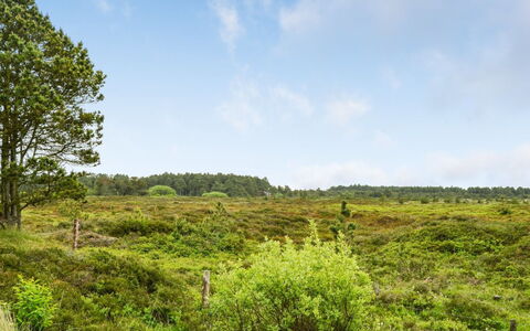Alfwin - 3Km from the Sea: Building, House, Window, Home, Roof, Residential Area, Shrub, Cottage, Land Lot
