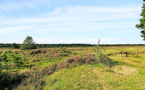 Alfwin - 3Km from the Sea: Sky, Blue, Grass, Natural Environment, Grassland, Vegetation, Natural Landscape, Ecoregion, Plain, Summer