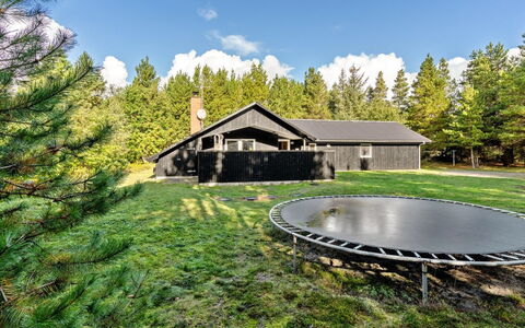 Jul - 900M from the Sea: Tree, Grass, Land Lot, Rural Area, Cottage, Garden, Lawn, Larch, Landscaping, Woodland