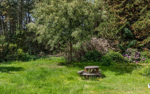 Jul - 900M from the Sea: Tree, Grass, Leaf, Vegetation, Shrub, Garden, Plant Community, Grassland, Land Lot