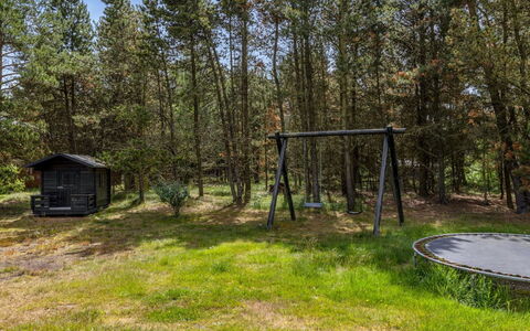 Jul - 900M from the Sea: Tree, Grass, Land Lot, Trunk, Woodland, Grove, Forest, Shade, Garden, Park