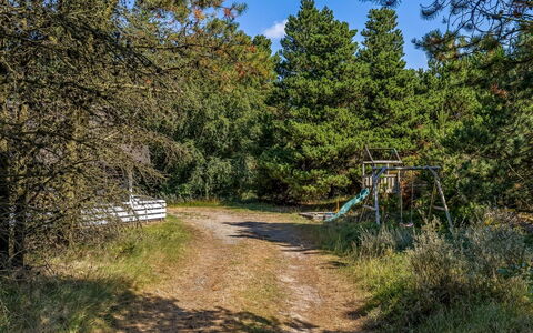 Lin - 2.9Km from the Sea: Tree, Grass, Leaf, Nature, Branch, Vegetation, Shrub, Trail, Plant Community, Forest