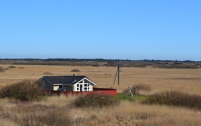 Arnkil - 700M from the Sea