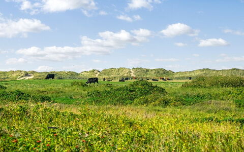 Mortensen - 350M from the Sea: Cottage, Shed, Hut, Farmhouse, Prairie, Shack, Barn, Log Cabin, Garden Buildings