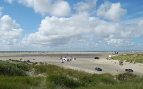 Kalf - 400M from the Sea: Grass, House, Roof, Home, Cottage, Shrub, Land Lot, Rural Area, Farmhouse, Groundcover