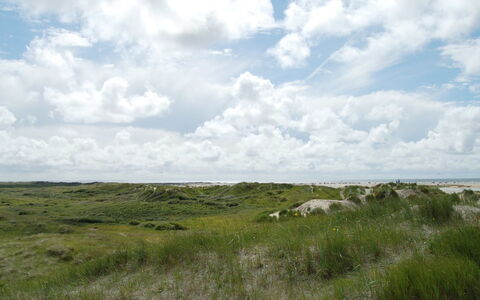 Kalf - 400M from the Sea: Grass, House, Roof, Home, Cottage, Shrub, Land Lot, Rural Area, Farmhouse, Groundcover