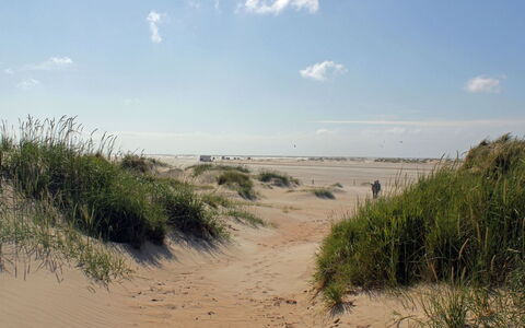 Neia - 640M from the Sea: Roof, House, Land Lot, Home, Cottage, Estate, Garden Buildings, Shade, Log Cabin, Landscaping