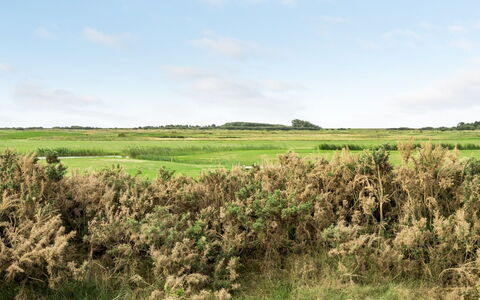 Hugo - 2.5Km from the Sea: Roof, House, Home, Cottage, Door, Siding, Estate, Lawn, Yard, Porch