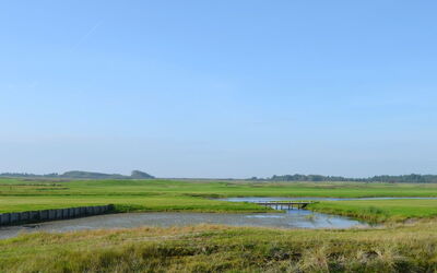 Inga - 1.3Km from the Sea