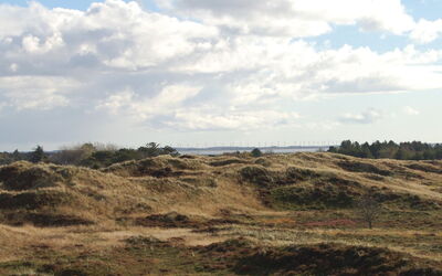 Inga - 1.3Km from the Sea