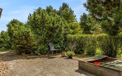 Vivan - 3.8Km from the Sea: Green, Leaf, Vegetation, Shrub, Landscape, Plant Community, Land Lot, Garden, Groundcover