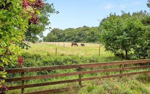 Botulf - 3.8Km from the Sea: Cottage, Home, House, Roof, Porch, Estate, Siding, Garden Buildings, Farmhouse, Yard