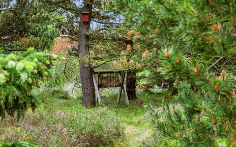 Bogatin - 1Km from the Sea: Natural Environment, Vegetation, Shrub, Forest, Groundcover, Garden, Trunk, Nature Reserve, Woody Plant, Jungle