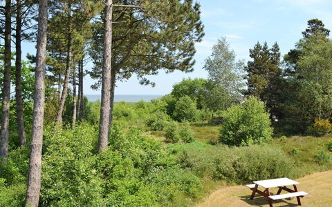 Volmer - 3.9Km from the Sea: Roof, House, Home, Cottage, Door, Siding, Estate, Lawn, Yard, Porch