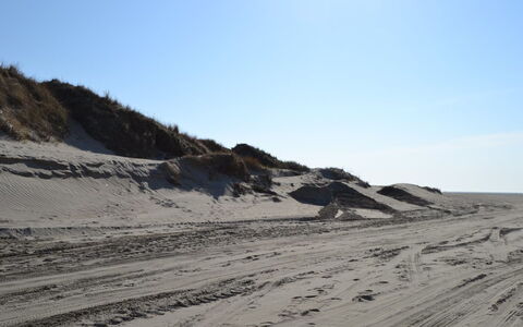 Elinora - 100M from the Sea: Natural Environment, Sand, Ecoregion, Landscape, Terrain, Geology, Slope