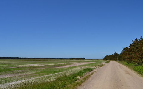 Almina - 1Km from the Sea: House, Cottage, Roof, Garden Buildings, Shade, Shed, Backyard, Outdoor Furniture, Yard, Lawn