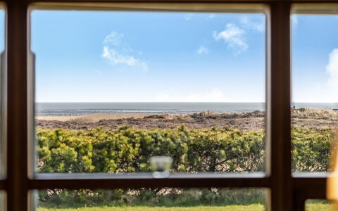 Amundi - 3.8Km from the Sea: Grass, Grassland, Landscape, Ecoregion, Plain, Plant Community, Land Lot, Outdoor Furniture, Prairie, Shrubland