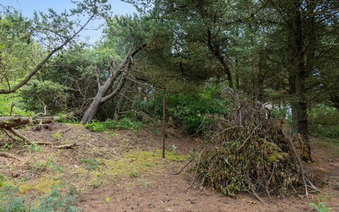 Magga - 3.2Km from the Sea: House, Home, Roof, Cottage, Shrub, Siding, Door, Garden, Farmhouse