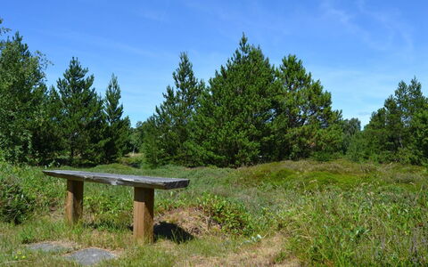 Redward - 1Km from the Sea: Grass, Green, Leaf, Natural Environment, Nature, Vegetation, Grassland, Shrub, Plant Community, Ecoregion