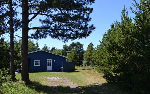 Redward - 1Km from the Sea: Grass, Land Lot, Plain, Meadow, Lawn, Cottage, Pasture, Yard, Landscaping