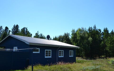 Redward - 1Km from the Sea: Grass, Roof, House, Home, Cottage, Land Lot, Siding, Rural Area, Door, Garden Buildings