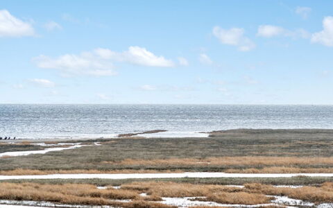 Langsom - 100M from the Sea: Blue, Water, Water Resources, Horizon, Ecoregion, Sea, Coastal And Oceanic Landforms, Marsh