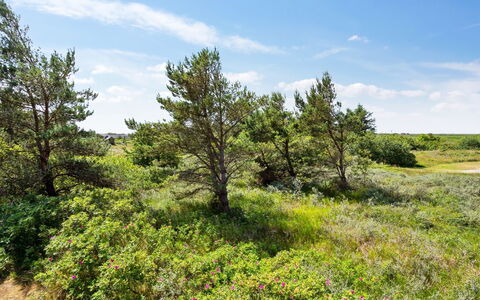 Athalia - 2.4Km from the Sea: Building, House, Window, Home, Roof, Residential Area, Shrub, Cottage, Land Lot