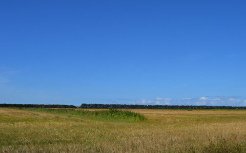 Anna - 1Km from the Sea: Swimming Pool, Resort Town