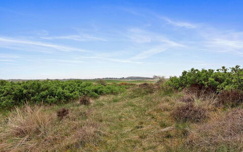 Reija - 2.3Km from the Sea: Sky, Blue, Grass, Green, Natural Environment, Grassland, Vegetation, Ecoregion, Natural Landscape, Plant Community