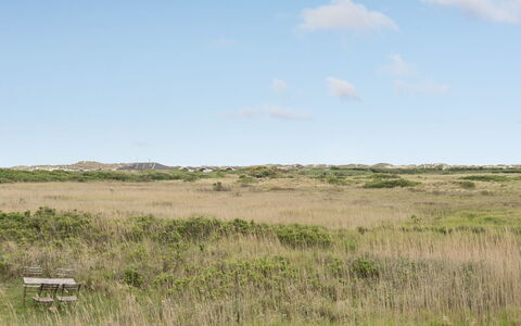 Sybilla - 700M from the Sea: Sky, Grass, Grassland, Natural Environment, Ecoregion, Vegetation, Plain, Pasture, Prairie, Steppe