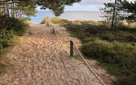 Turkka - 3.8Km from the Sea: Trail, Coastal And Oceanic Landforms, Coast, Soil, Sea, Shore, Sand, Ocean, Shrubland