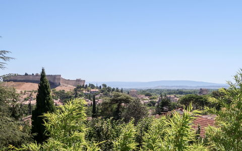 La Cigale: Sky, Plant, Natural Landscape, Tree, Land Lot, Flower, Grassland, Meadow, Shrub, Landscape
