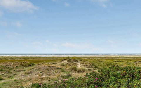 Iliane - 100M from the Sea: House, Roof, Home, Cottage, Estate, Farmhouse, Villa, Porch, Siding