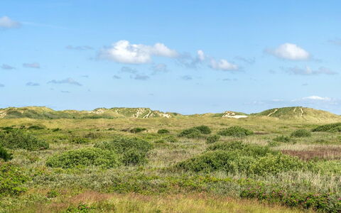 Ortwin - 300M from the Sea: Grass, House, Roof, Home, Cottage, Shrub, Land Lot, Rural Area, Farmhouse, Groundcover