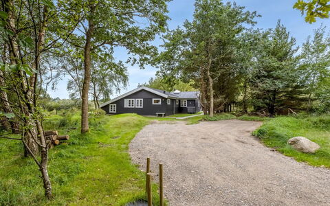 Waldemar - 3.4Km from the Sea: Grass, Grassland, Landscape, Ecoregion, Plain, Plant Community, Land Lot, Outdoor Furniture, Prairie, Shrubland