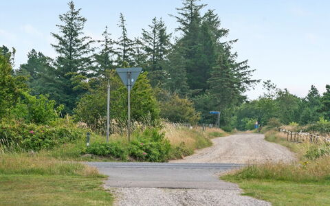Gwen - 2.7Km from the Sea: Sky, Tree, Grass, Leaf, Road, Road Surface, Vegetation, Natural Landscape, Shrub