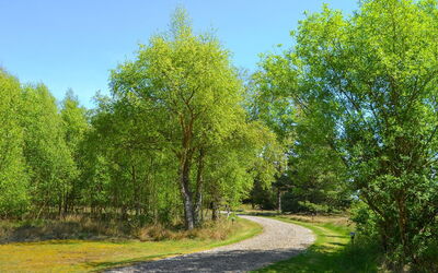 Gwen - 2.7Km from the Sea