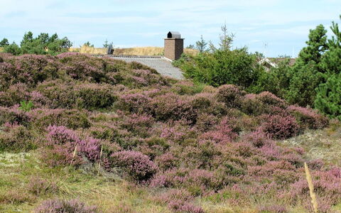 Elsa - 700M from the Sea: House, Roof, Home, Cottage, Estate, Farmhouse, Villa, Porch, Siding