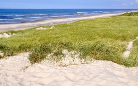 Elsa - 700M from the Sea: House, Roof, Home, Cottage, Estate, Farmhouse, Villa, Porch, Siding