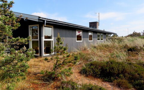Elsa - 700M from the Sea: Plant Community, Sunlight, Herbaceous Plant, Garden, Plantation, Agriculture, Farm