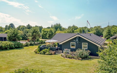 Maureen - 10.5Km from the Sea: Plant Community, Sunlight, Herbaceous Plant, Garden, Plantation, Agriculture, Farm