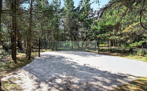 Jensen - 700M to the Fjord: Plant Community, Sunlight, Herbaceous Plant, Garden, Plantation, Agriculture, Farm