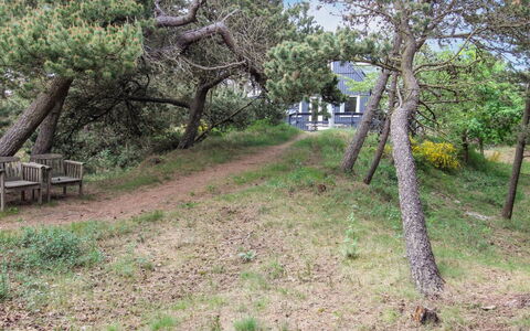 Kanutte - 400M from the Sea: Branch, Vegetation, Plant Community, Land Lot, Trunk, Woody Plant, Soil, Trail, Shrubland