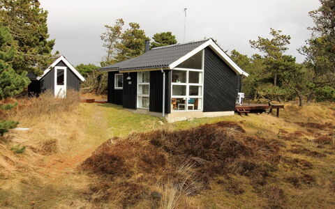 Glady - 500M from the Sea: Grass, Cottage, Shed, Hut, Garden Buildings, Shack, Log Cabin