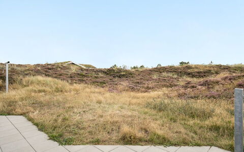 Tennie - 300M from the Sea: Grass, Ecoregion, Grassland, Plant Community, Brown, Land Lot, Shrubland, Steppe, Prairie, Chaparral