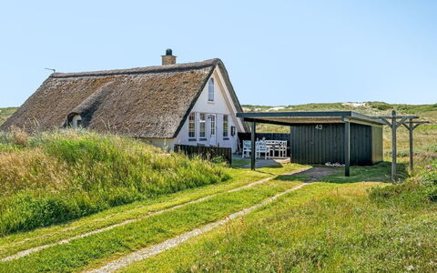 Klimentina - 150M from the Sea: Plant Community, Sunlight, Herbaceous Plant, Garden, Plantation, Agriculture, Farm